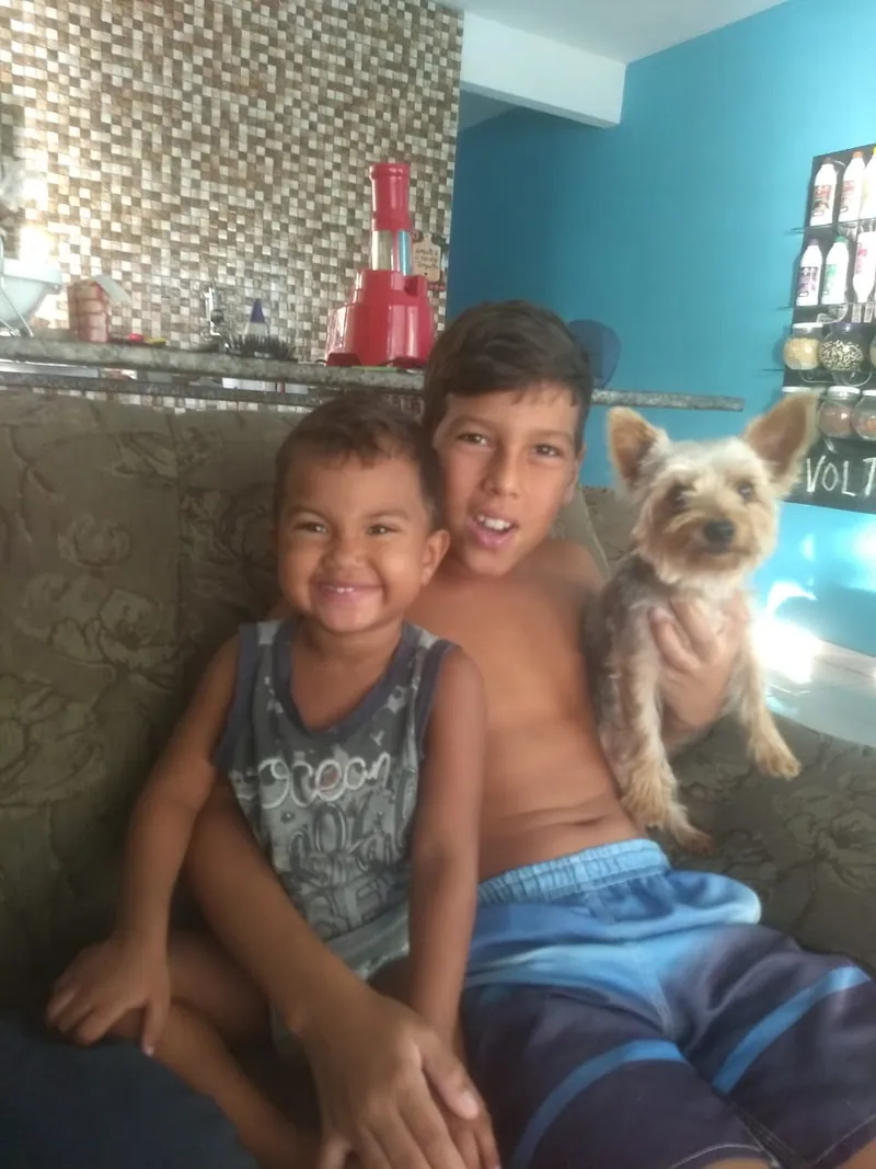 Caso real de reencontro com pet