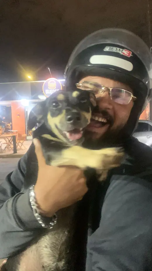 Cachorro da Erika reencontrado em Campo Grande, MS