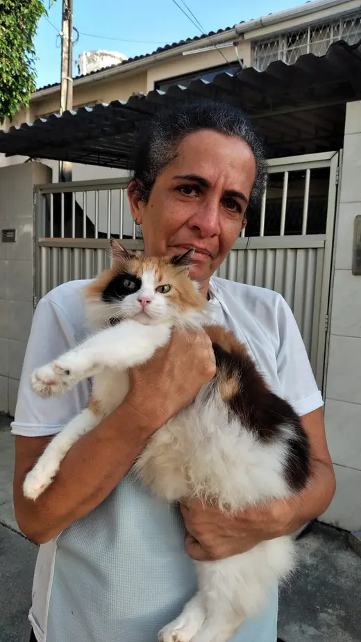 Reencontro de Rosana com sua gata Belinha em Recife, PE