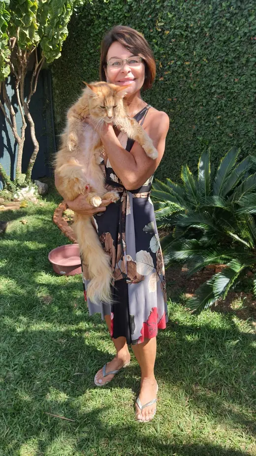 Reencontro de Sandra com seu gato Ferrugem em Contagem, MG