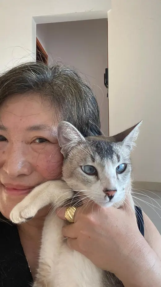 Reencontro de Vilma com seu gato em Piraju, SP